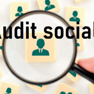 audit social